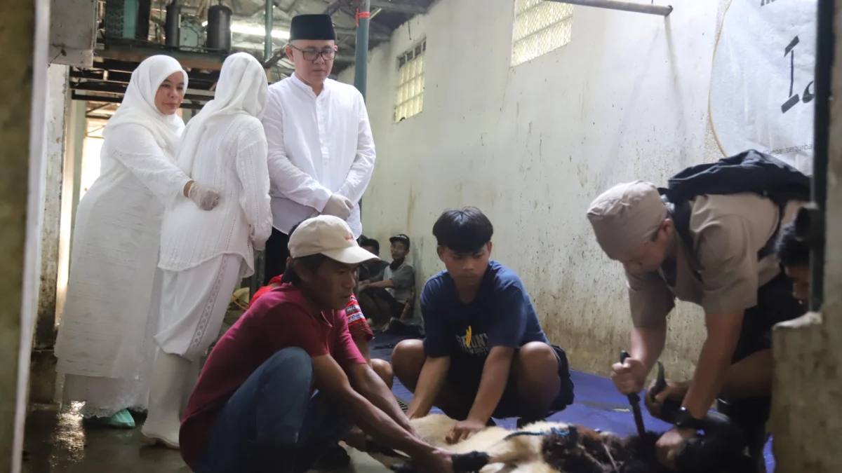 Pj Bupati Bandung Barat, Ade Zakir saat melihat secara langsung proses penyembelihan hewan kurban di RPH KBB. Senin (17/6). Foto Jabar Ekspres/wit