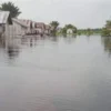 Rumah warga di Distrik Kokoda Utara direndam banjir. Foto/ANTARA