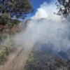 Asap mengepul dari area terdampak kebakaran hutan dan lahan di kawasan Savana Widodaren Taman Nasional Bromo Tengger Semeru, Kabupaten Pasuruan, Jawa Timur, Kamis (20/6/2024). (ANTARA/HO-MPA Ngadas.)