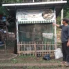 Ketua RW07 Desa Cileunyi Wetan, Ade Juhana tengah menunjukkan tempat pengembang biakkan magot di area pengolahan sampah mandiri. (Yanuar/Jabar Ekspres)