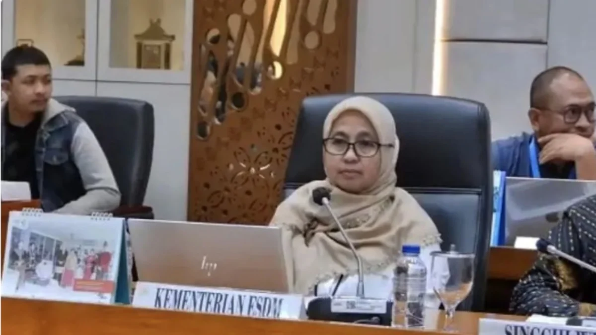 Ormas Agama Dapatkan Izin Kelola Usaha Tambang, KESDM: Wajib Bayar Kompensasi Staf Ahli Bidang Ekonomi Sumber Daya Alam Kementerian ESDM Lana Saria. Foto/ANTARA
