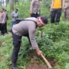 Penanaman 1.000 pohon yang dilakukan Polsek Cileunyi bersama masyarakat di kawasan Bumi Perkemahan Wisata Batu Kuda, Kampung Cikoneng, Desa Cibiruwetan, Kecamatan Cileunyi Kabupaten Bandung.