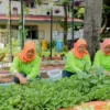 Kelompok Tani Ini Sulap Lahan Terbengkalai Jadi Produktif