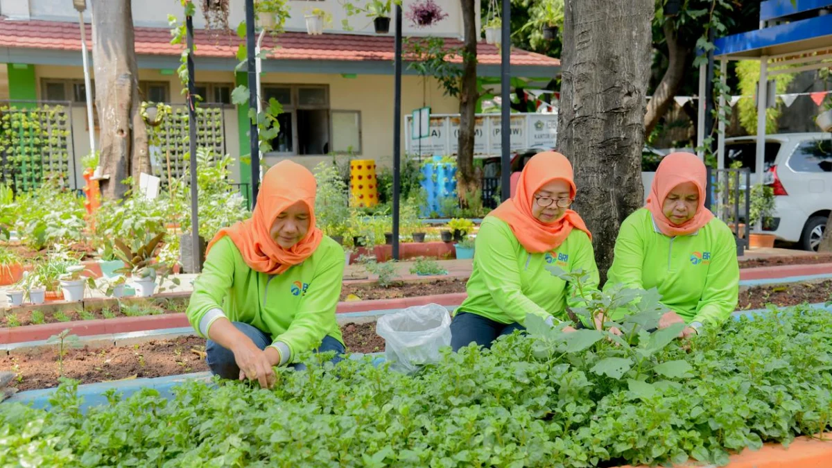 Kelompok Tani Ini Sulap Lahan Terbengkalai Jadi Produktif