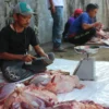 Ada Kesulitan Deteksi Daging Afkir Hewan Kurban Sejak Awal Ilustrasi: Proses pencacahan daging kurban sebelum dikemas. (Pandu Muslim/Jabar Ekspres)