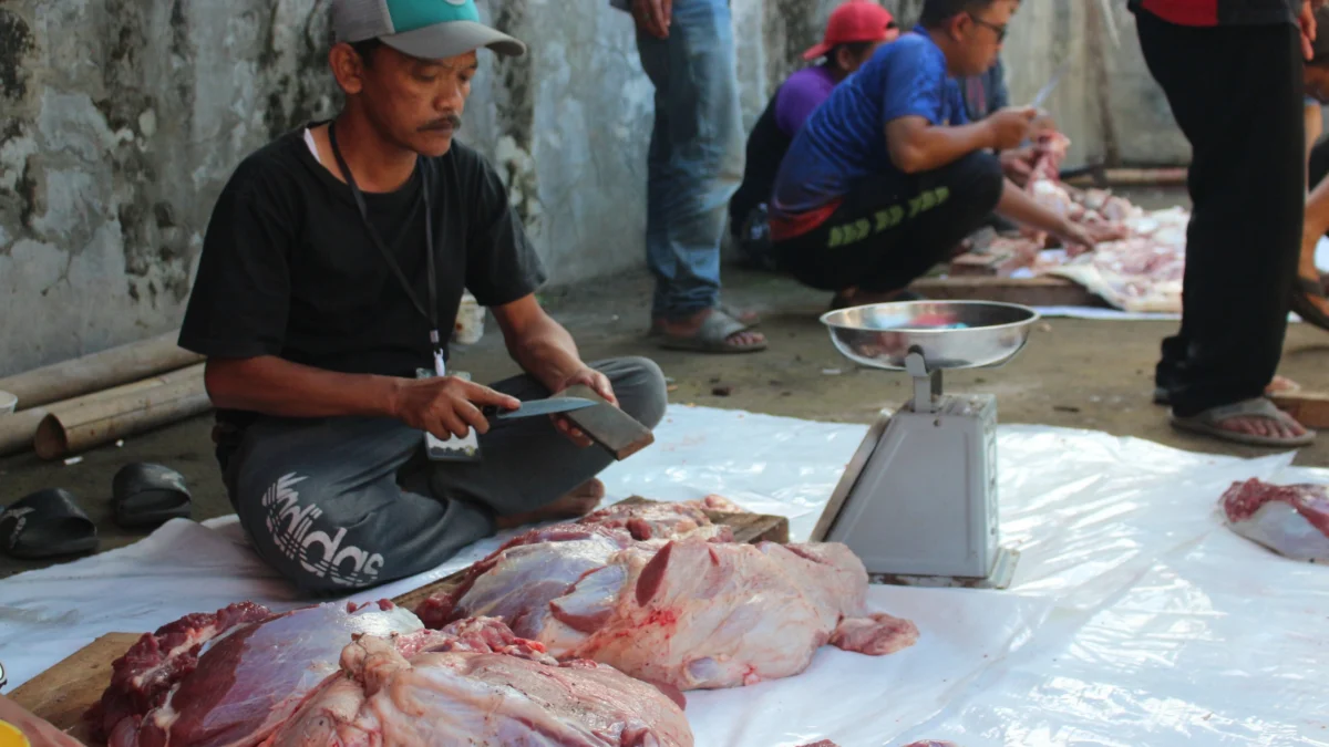 Ada Kesulitan Deteksi Daging Afkir Hewan Kurban Sejak Awal Ilustrasi: Proses pencacahan daging kurban sebelum dikemas. (Pandu Muslim/Jabar Ekspres)