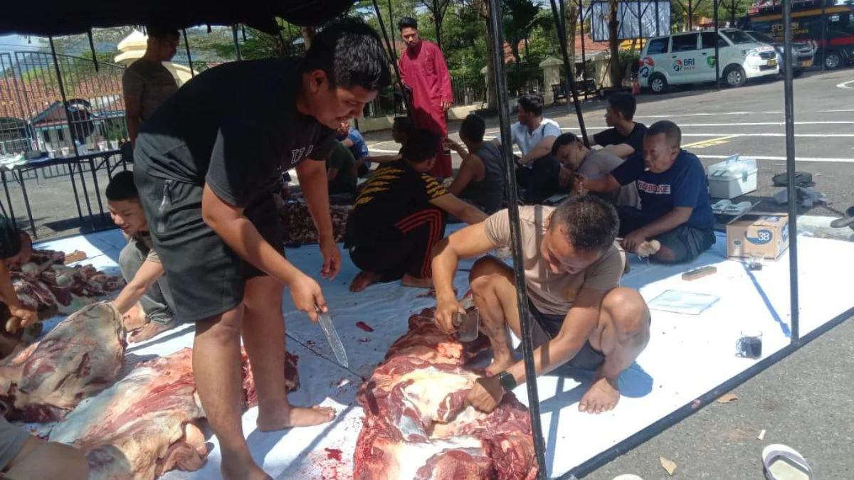 Petugas Temukan Cacing Hati pada Hewan Kurban di Kota Banjar Ilustrasi: Polres Banjar menggelar pemotongan hewan kurban pada Idul adha tahun 2024 ini. Sementara di tempat pemotongan hewan kurban lain, petugas DKP3 Kota Banjar menemukan cacing hati dalam hewan kurban. (Istimewa)