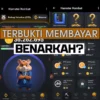 Lagi Viral! Benarkah Penghasil Uang Hamster Kombat Terbukti Membayar?