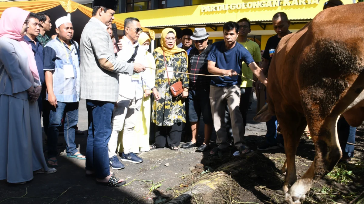 Sembelih 13 Hewan Kurban, Begini Kata DPD Golkar Jabar Sembelih 13 Hewan Kurban, Begini Kata DPD Golkar Jabar