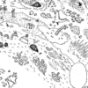 Penjelasan Lengkap Dark Continent, Misteri yang Belum Terpecahkan dalam Dunia Hunter X Hunter!