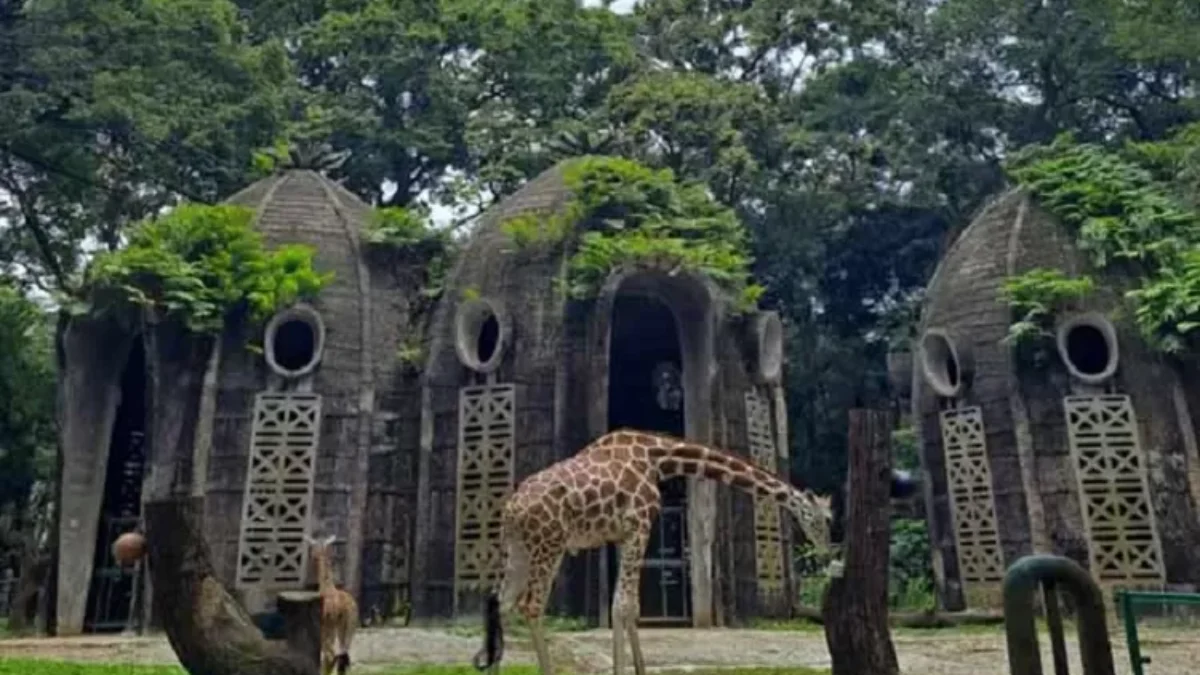 Ragunan Zoo Tetap Buka di Hari Raya Idul Adha dengan Penyesuaian Jadwal