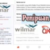 Apakah Aplikasi Wilmar Benar-Benar Membayar? Hati-hati Kena Tipu