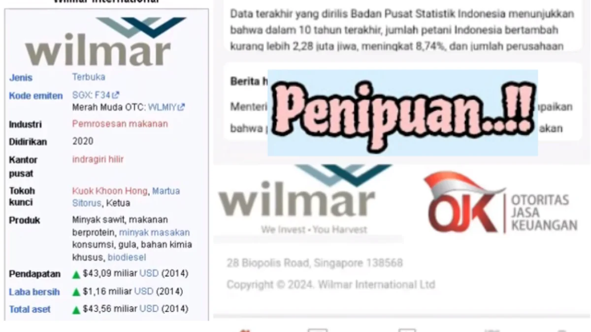 Apakah Aplikasi Wilmar Benar-Benar Membayar? Hati-hati Kena Tipu