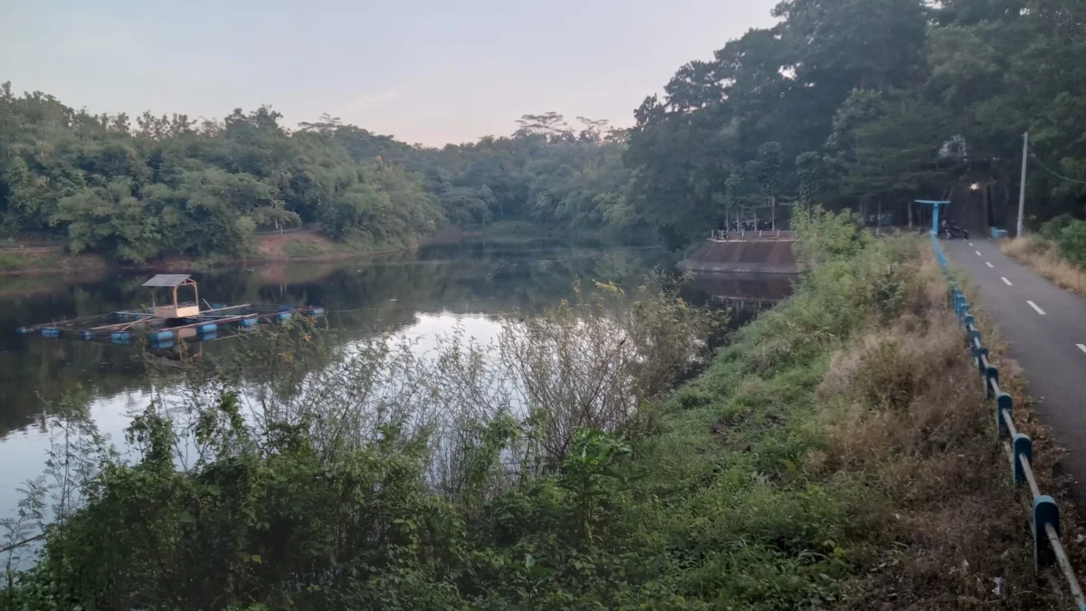 Dinantikan Warga Banjar, Situ Leutik Justru Belum Optimal Penuhi Kebutuhan Air untuk Sawah Masyarakat Kondisi Situ Leutik di Desa Cibeureum Kota Banjar Jawa Barat belum optimal mengairi kebutuhan sawah petani. (Cecep Herdi/Jabar Ekspres)