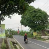 Spanduk para calon bupati Bandung Barat dipasang secara serampangan menggangu estetik kota. Selasa (26/6). Foto Jabar Ekspres/wit