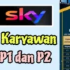 Sebentar Lagi Aplikasi SKY Akan Kabur, Begini Nasib Karyawan P1 Dan P2