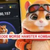 Rahasia Kode Morse dan Klaim 3 Combo Harian Hamster Kombat