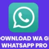 Download WhatsApp GB Pro 19.10 APK 2024