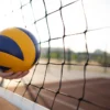 Ilustrasi. Cara Beli tiket Final PROLIGA 2024 di PLN Mobile/ Freepik