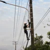 PLN Icon Plus melakukan Patroli rutin pada jalur kabel optik di Jalan Pelabuhan Cigadung Subang.