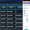 Benarkah BLK 48 Aplikasi Penghasil Uang atau Skema Ponzi Baru?
