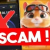 Hamster Kombat Tidak Bisa Diakses, Apakah Benar Scam? Berikut Klarifikasinya