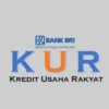Syarat dan Cara Pengajuan Pinjaman KUR BRI 2024 Agar di ACC