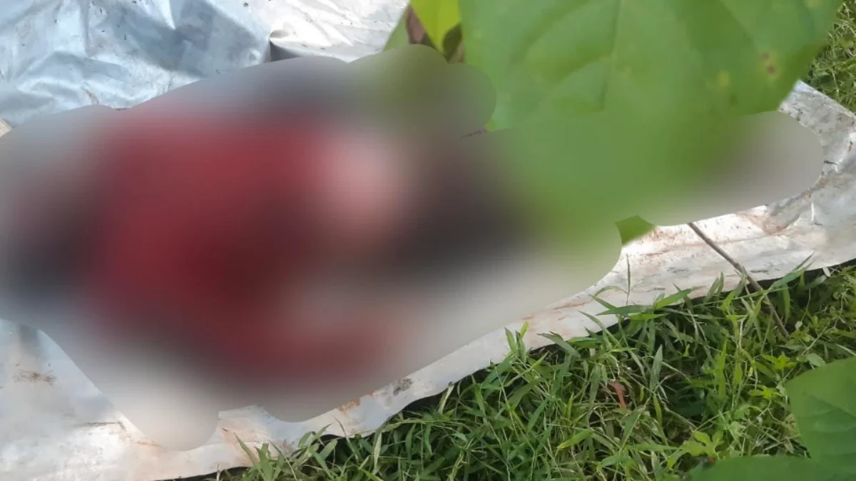 Heboh Pria Ditemukan Tewas Terapung di Saluran Air dengan Kaki dan Tangan Terikat