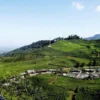 Pembangunan tempat wisata di Puncak Bogor yang dikerjakan oleh anak Perusahaan BUMD Jawa Barat, PT Jaswita dinyatakan telah melanggar aturan.