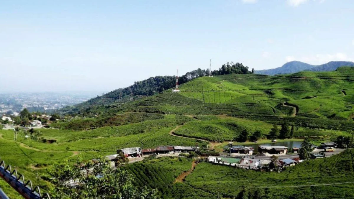 Pembangunan tempat wisata di Puncak Bogor yang dikerjakan oleh anak Perusahaan BUMD Jawa Barat, PT Jaswita dinyatakan telah melanggar aturan.