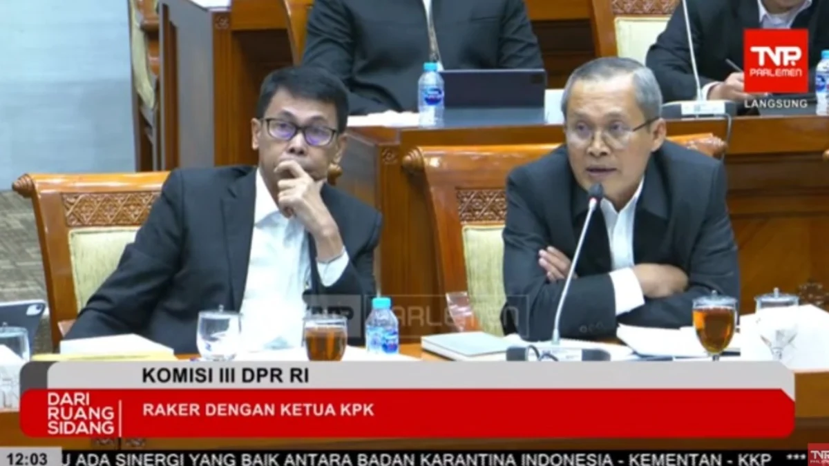Wakil Ketua KPK Alexander Marwata (kanan) mengaku KPK gagal memebrantas korupsi, dalam rapat kerja Komisi III PR RI dengan KPK di Komplek Parlemen, Senayan, Jakarta, Senin (1/7/2024). (Tangkapan Layar / TVR Parlemen)