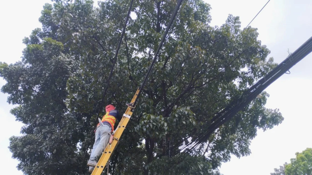 PLN Icon Plus Melakukan Perapihan dan Penataan Kabel Fiber Optik di Bandung Untuk Meningkatkan Estetika Kota