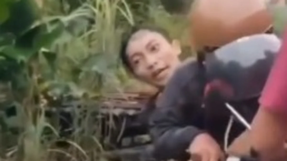 Sejumlah orang berhalusinasi, hingga mengalami gangguan mental diduga akibat mabuk kecubung. (X / Heraloebss)