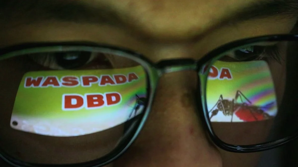 Ilustrasi waspada serangan penyakit DBD. (Pandu Muslim/Jabar Ekspres)