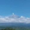 Gunung Semeru erupsi yang terpantau dari Pos Pengamatan Gunung Semeru di Lumajang, Minggu (21/7). (foto/ANTARA)
