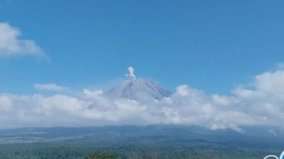 Gunung Semeru Kembali Erupsi Sebanyak 3 Kali pada Selasa Pagi Gunung Semeru erupsi yang terpantau dari Pos Pengamatan Gunung Semeru di Lumajang, Minggu (21/7). (foto/ANTARA)