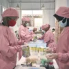 Pemberdayaan UMKM berkat BRIncubator/