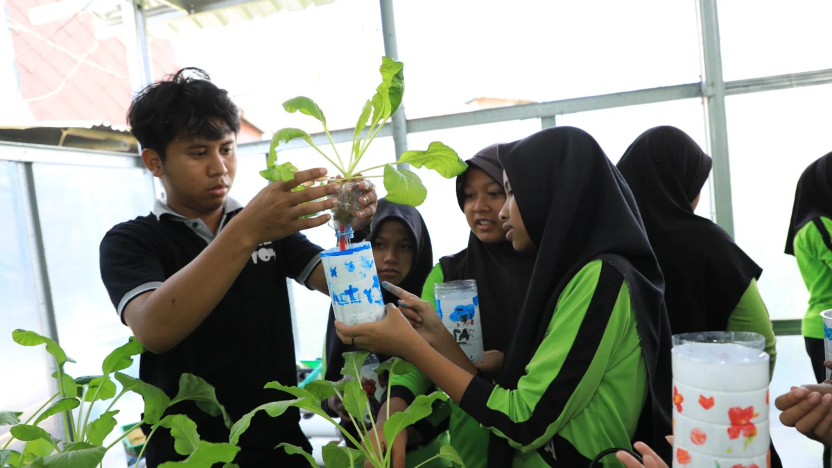 Potret Anak SD Belajar Tanam Hidroponik