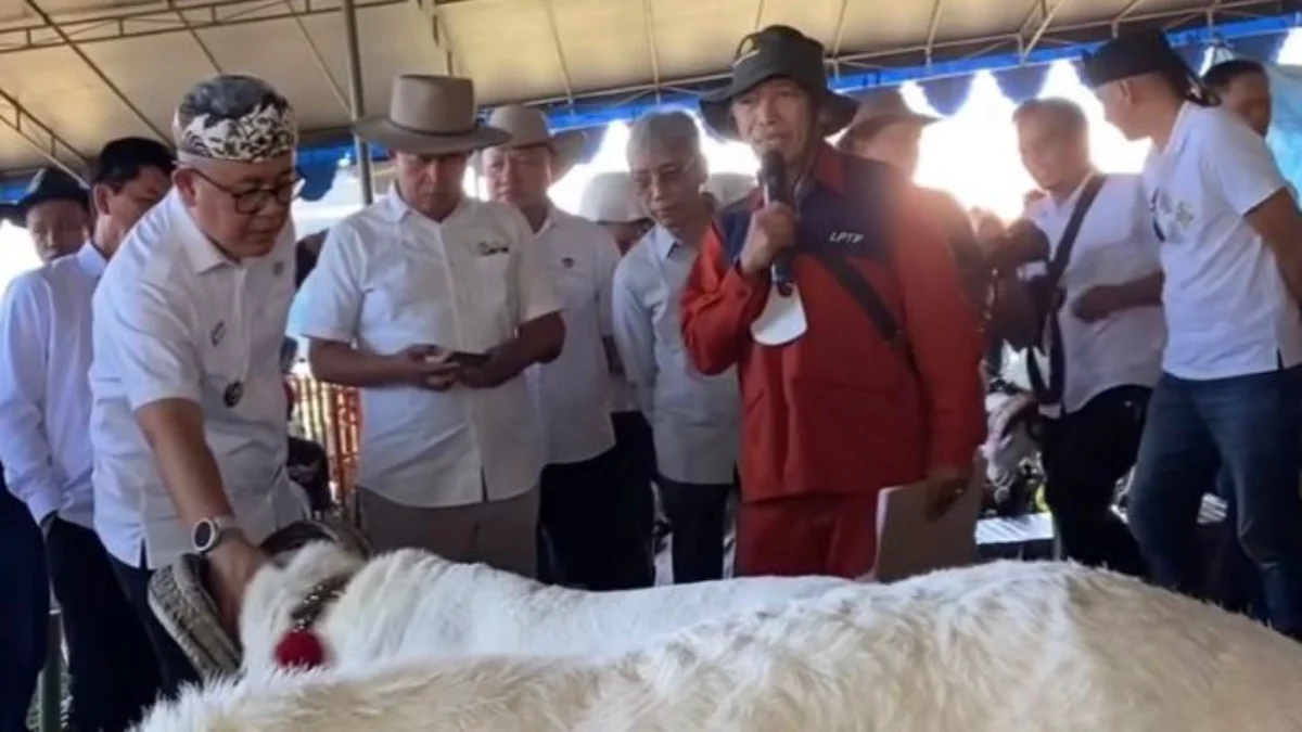 Tumbuhkan Minat Generasi Muda, Pemkab Bandung Barat Gelar Kontes Ternak dan Ekspo Pangan 2024 Pj Bupati Bandung Barat Ade Zakir saat menghadiri kontes Ternak dan Ekspo Pangan 2024 di The Landen Lembang, Kecamatan Lembang. Kamis (25/7). Foto Jabar Ekspres