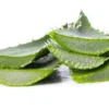 Manfaat Aloe Vera untuk Kecantikan, Apakah Bisa Hilangkan Flek Hitam di Wajah?