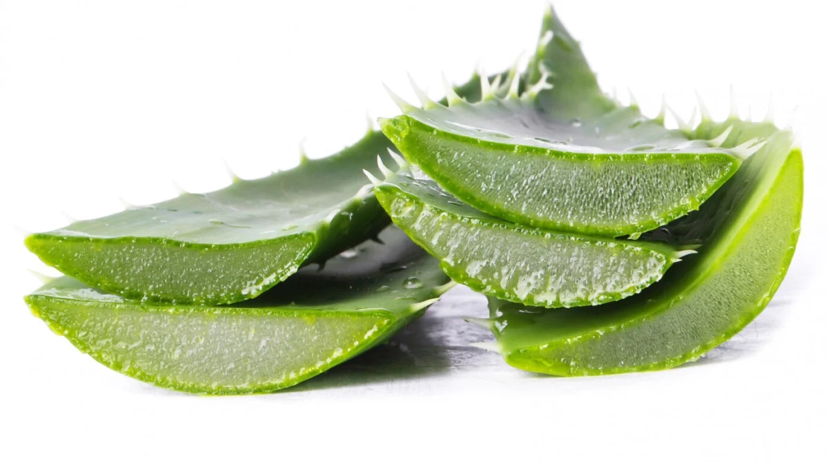 Manfaat Aloe Vera untuk Kecantikan, Apakah Bisa Hilangkan Flek Hitam di Wajah?