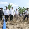 Produksi Gabah Kering Giling di Jabar Tahun 2024 Diupayakan Capai 11 Juta Ton