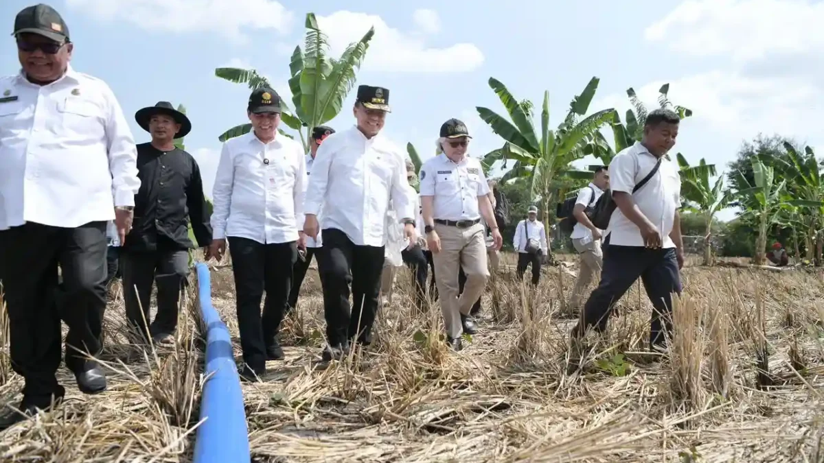Produksi Gabah Kering Giling di Jabar Tahun 2024 Diupayakan Capai 11 Juta Ton