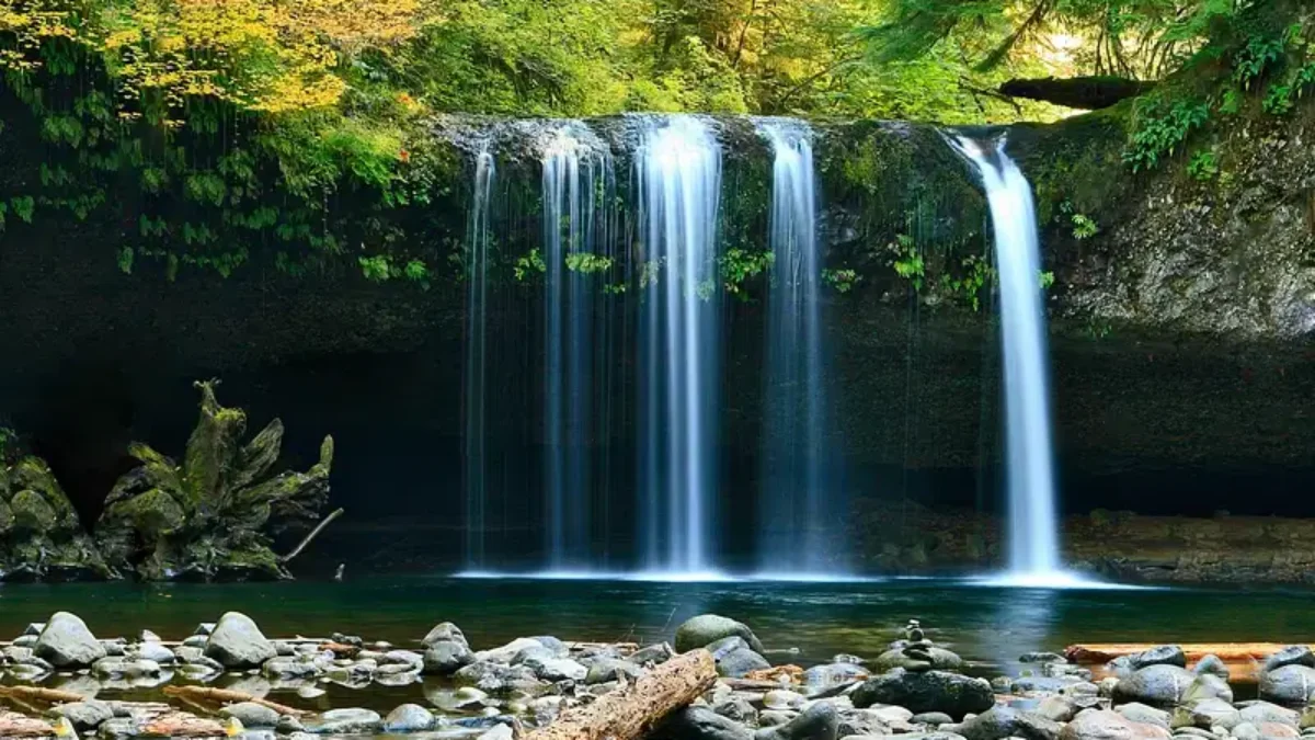 11 Destinasi Wisata Paling Epik di Bogor yang Wajib Dikunjungi akhir pekan, bogor, destinasi wisata keluarga, liburan, Tempat Wisata