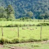 6 Destinasi Wisata Keluarga Terbaru di Ciwidey yang Sedang Hype