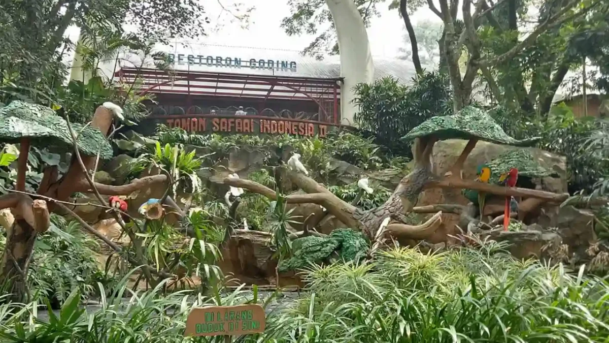 5 Destinasi Wisata Satwa Terbaik di Jawa Barat yang Tak Pernah Sepi Pengunjung