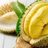 Makan Durian yang Ada Alkoholnya, Apa Kata Islam? Durian, buah yang dikenal dengan aroma khas dan rasa manisnya, memang memiliki penggemar setia. Dengan daging buahnya yang lembut dan sedikit lembek