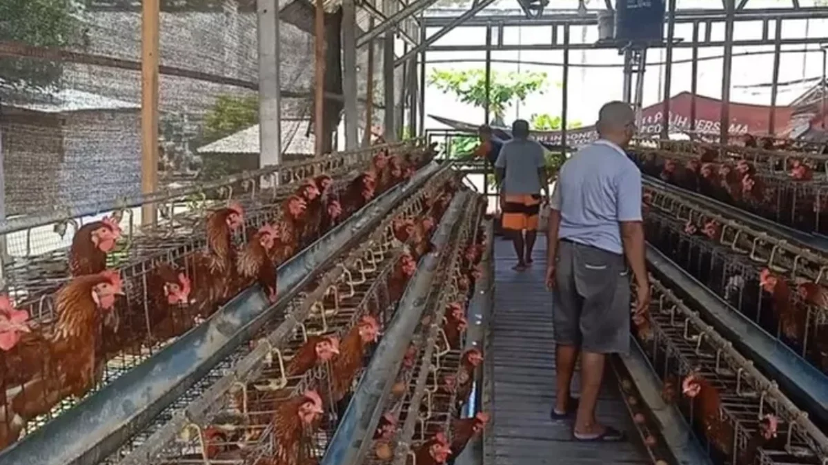 5 Bisnis Menjanjikan di Kampung, Omzet Bisa Tembus Rp 10 Juta per Bulan!