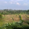 Ilustrasi produksi pertanian menurun karena tak teraliri air. Foto Jabar Ekspres/wit
