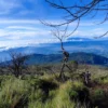 4 Wisata Kawasan Taman Nasional di Jawa Barat yang Wajib Dikunjungi, Surga bagi Pecinta Alam dan Petualangan